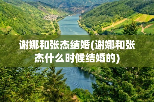 谢娜和张杰结婚(谢娜和张杰什么时候结婚的)