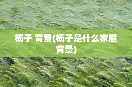 杨子 背景(杨子是什么家庭背景)