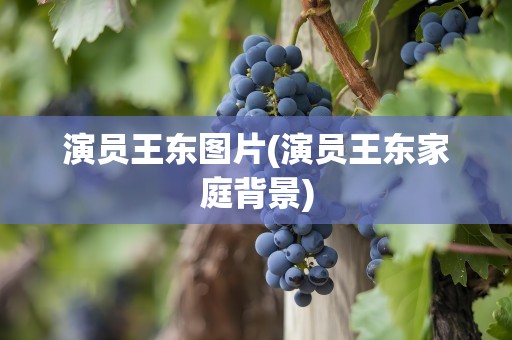 演员王东图片(演员王东家庭背景)