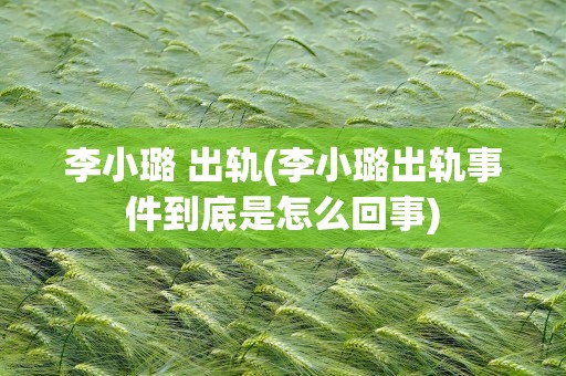 李小璐 出轨(李小璐出轨事件到底是怎么回事)
