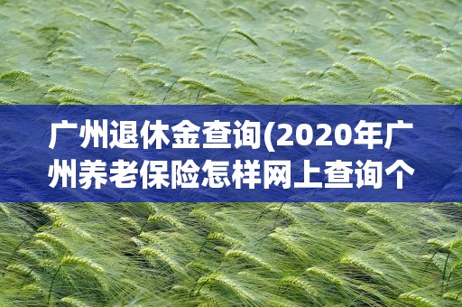 广州退休金查询(2020年广州养老保险怎样网上查询个人帐户信息)