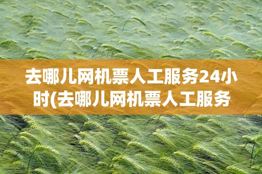 去哪儿网机票人工服务24小时(去哪儿网机票人工服务24小时电话)