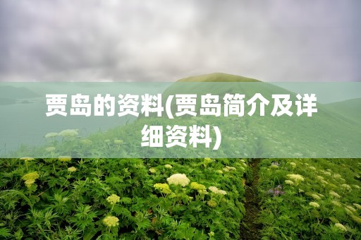 贾岛的资料(贾岛简介及详细资料)