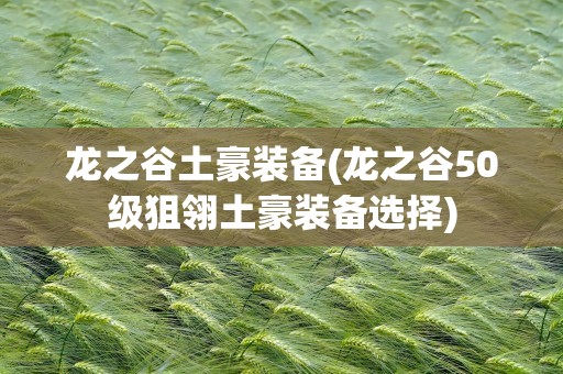 龙之谷土豪装备(龙之谷50级狙翎土豪装备选择)