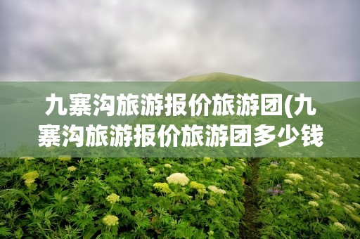 九寨沟旅游报价旅游团(九寨沟旅游报价旅游团多少钱)