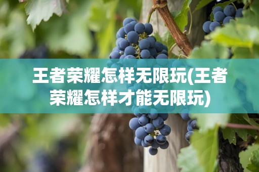王者荣耀怎样无限玩(王者荣耀怎样才能无限玩)