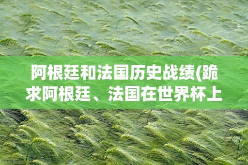 阿根廷和法国历史战绩(跪求阿根廷、法国在世界杯上的历史交锋记录)