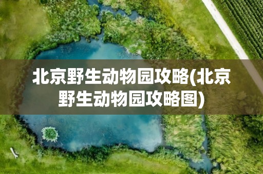北京野生动物园攻略(北京野生动物园攻略图)