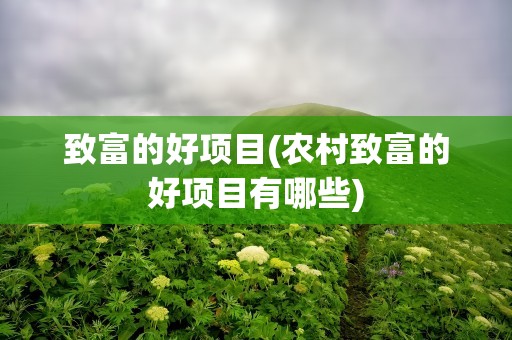 致富的好项目(农村致富的好项目有哪些)