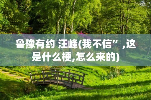 鲁豫有约 汪峰(我不信”,这是什么梗,怎么来的)