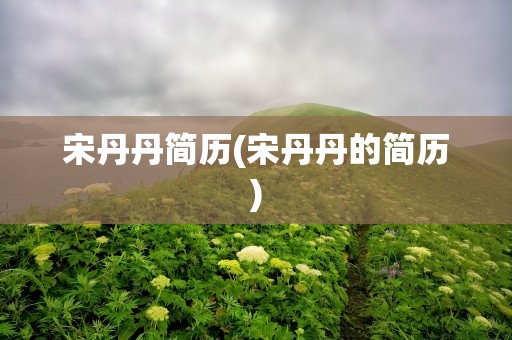 宋丹丹简历(宋丹丹的简历)