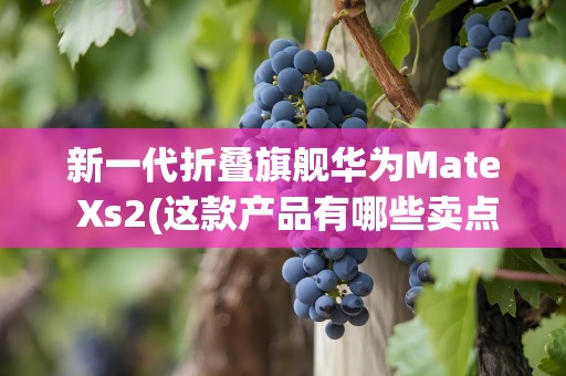 新一代折叠旗舰华为Mate Xs2(这款产品有哪些卖点)