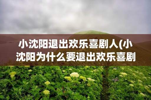小沈阳退出欢乐喜剧人(小沈阳为什么要退出欢乐喜剧人)