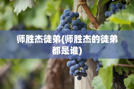 师胜杰徒弟(师胜杰的徒弟都是谁)