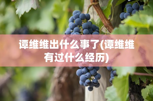 谭维维出什么事了(谭维维有过什么经历)