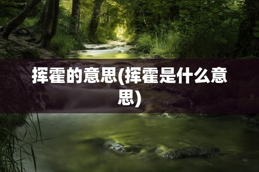 挥霍的意思(挥霍是什么意思)
