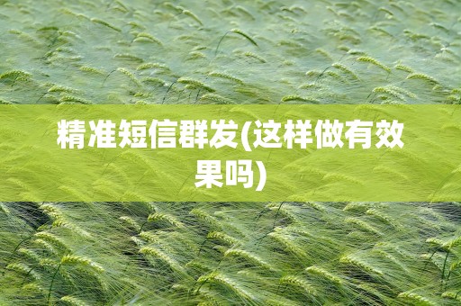 精准短信群发(这样做有效果吗)