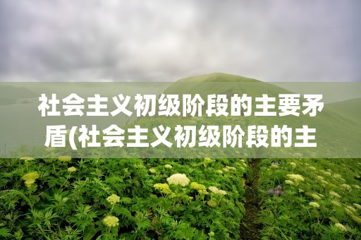 社会主义初级阶段的主要矛盾(社会主义初级阶段的主要矛盾是什么)