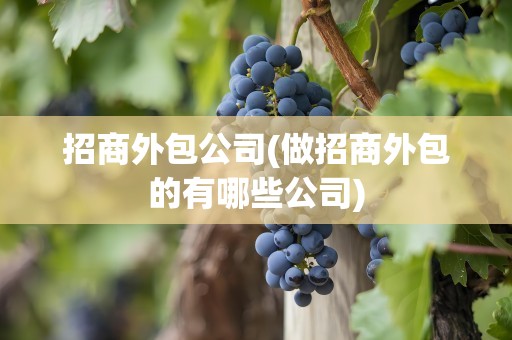 招商外包公司(做招商外包的有哪些公司)