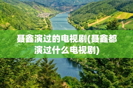 聂鑫演过的电视剧(聂鑫都演过什么电视剧)