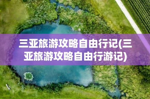 三亚旅游攻略自由行记(三亚旅游攻略自由行游记)