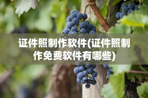 证件照制作软件(证件照制作免费软件有哪些)