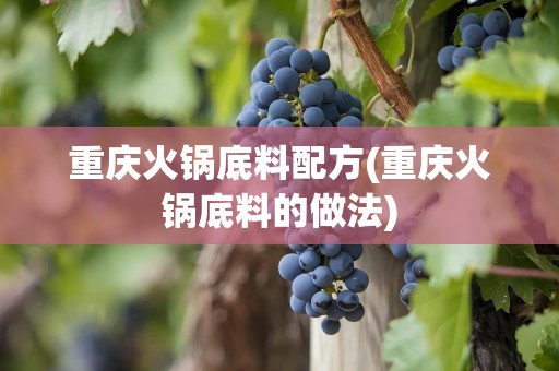 重庆火锅底料配方(重庆火锅底料的做法)