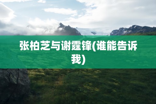 张柏芝与谢霆锋(谁能告诉我)