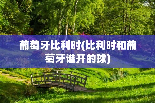 葡萄牙比利时(比利时和葡萄牙谁开的球)