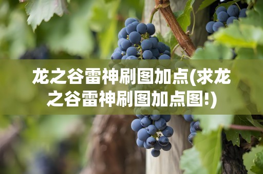 龙之谷雷神刷图加点(求龙之谷雷神刷图加点图!)