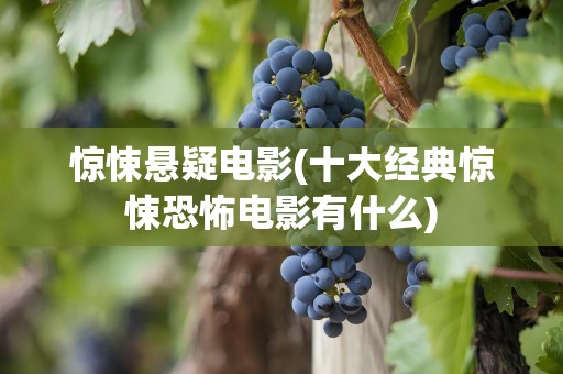 惊悚悬疑电影(十大经典惊悚恐怖电影有什么)