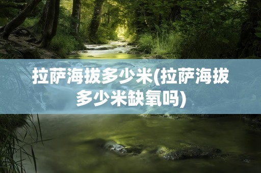 拉萨海拔多少米(拉萨海拔多少米缺氧吗)