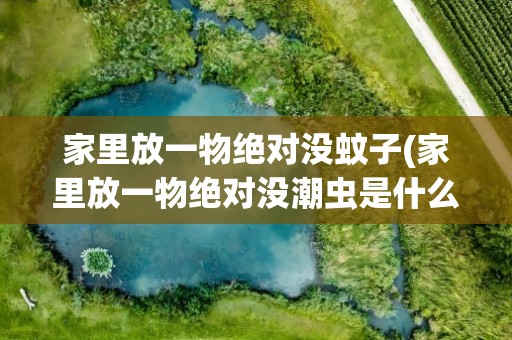 家里放一物绝对没蚊子(家里放一物绝对没潮虫是什么)