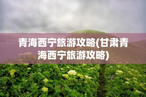 青海西宁旅游攻略(甘肃青海西宁旅游攻略)