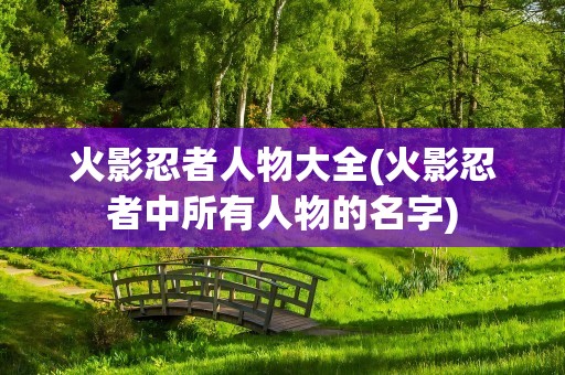 火影忍者人物大全(火影忍者中所有人物的名字)