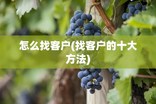 怎么找客户(找客户的十大方法)