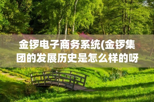 金锣电子商务系统(金锣集团的发展历史是怎么样的呀)