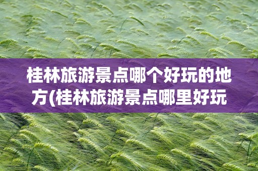 桂林旅游景点哪个好玩的地方(桂林旅游景点哪里好玩的地方)