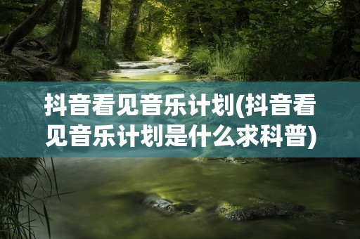 抖音看见音乐计划(抖音看见音乐计划是什么求科普)
