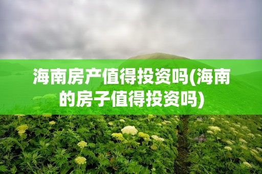 海南房产值得投资吗(海南的房子值得投资吗)