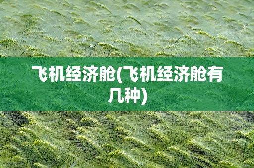 飞机经济舱(飞机经济舱有几种)