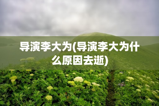 导演李大为(导演李大为什么原因去逝)