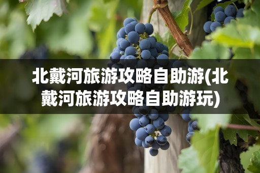 北戴河旅游攻略自助游(北戴河旅游攻略自助游玩)