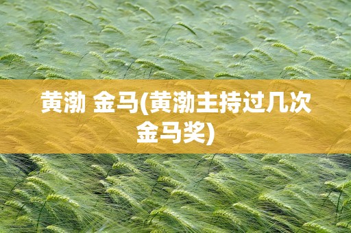 黄渤 金马(黄渤主持过几次金马奖)