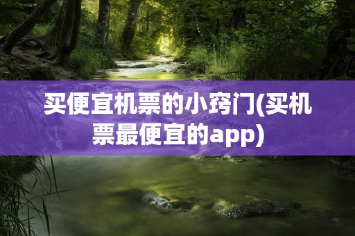 买便宜机票的小窍门(买机票最便宜的app)