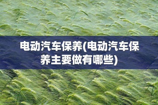 电动汽车保养(电动汽车保养主要做有哪些)
