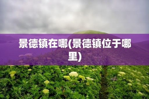 景德镇在哪(景德镇位于哪里)