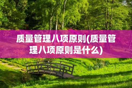 质量管理八项原则(质量管理八项原则是什么)