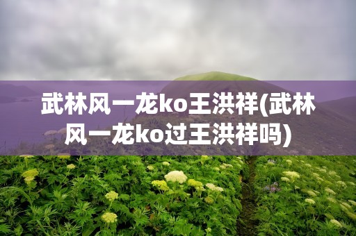 武林风一龙ko王洪祥(武林风一龙ko过王洪祥吗)