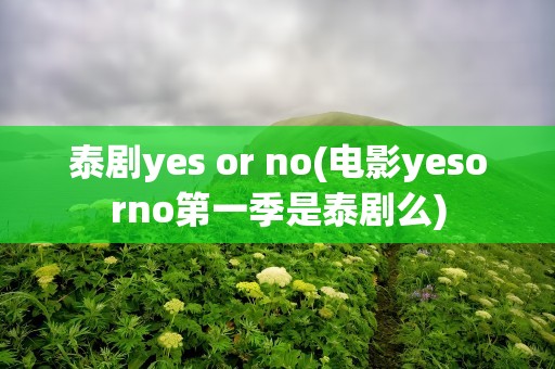泰剧yes or no(电影yesorno第一季是泰剧么)